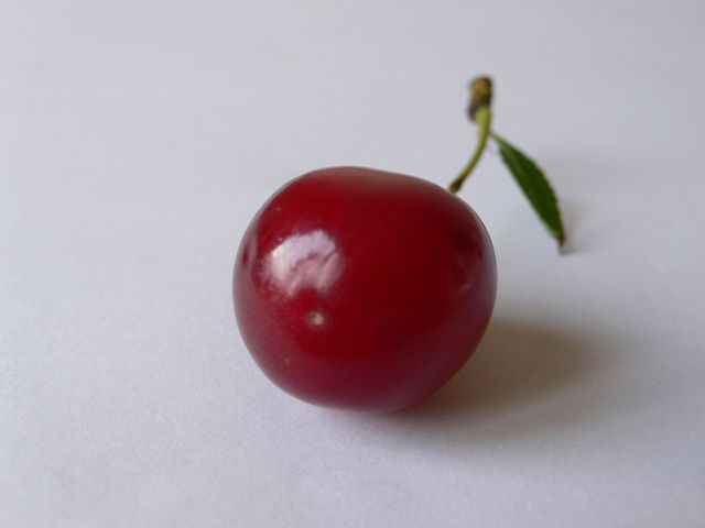 sour cherry