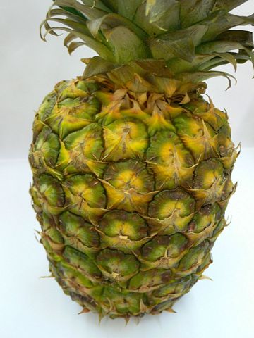 die Ananas