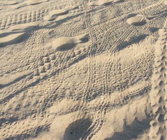 der Sand