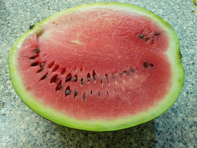 die Wassermelone
