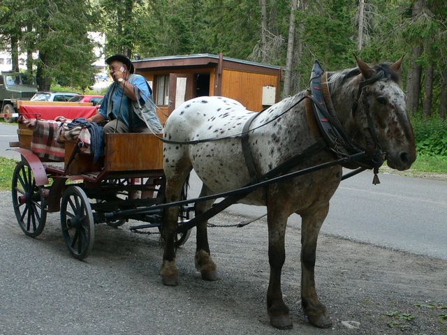 lovaskocsi