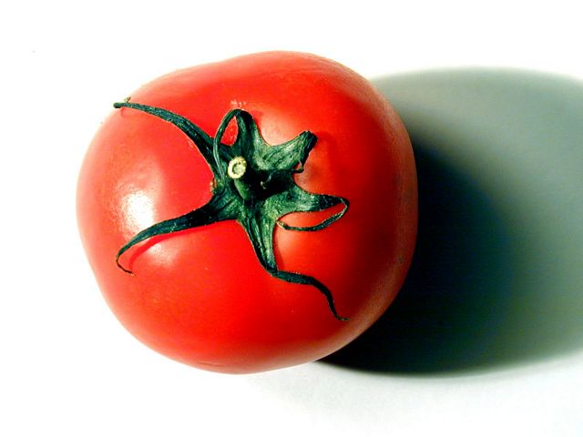 die Tomate