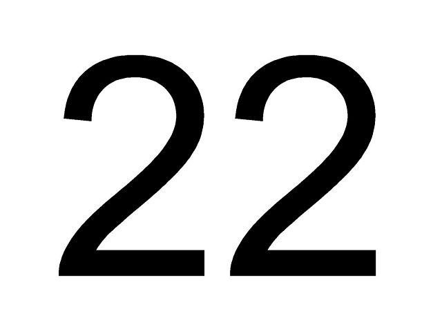 двадцать два