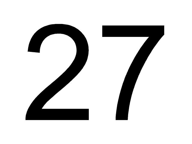 двадцать семь