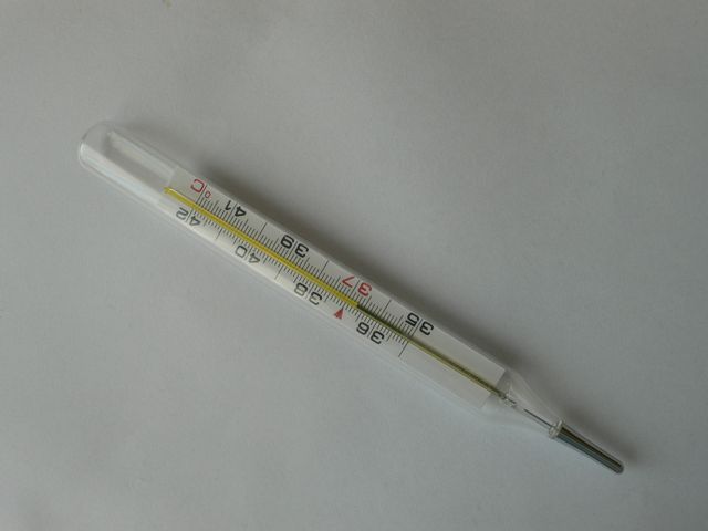 das Thermometer